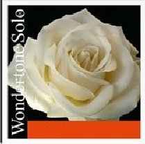 Wondertone Solo sett for fiolin, 50% rabatt
